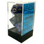 Polyhedral 7-Dice Set CHX27427 - Scarab Royal Blue/Gold